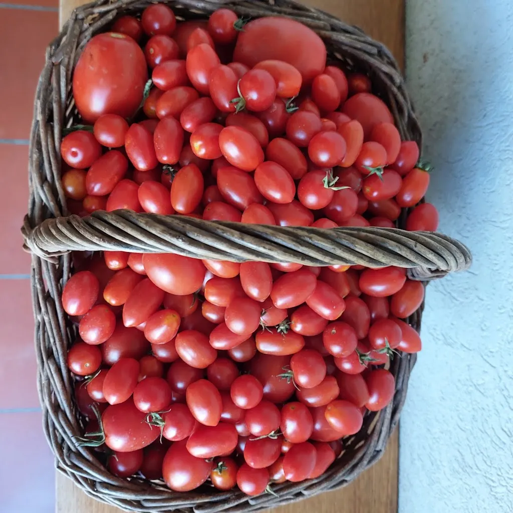 Menü_Tenuta La Fratta Apartments_Bagni di Lucca_Bild_3