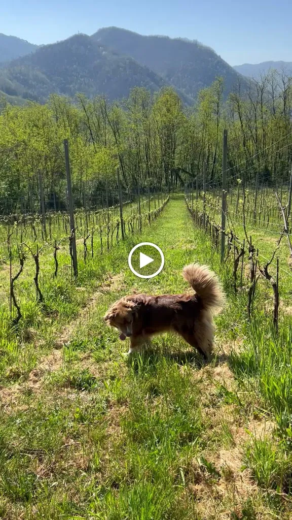 Tenuta La Fratta Apartments_Bagni di Lucca_slider_image_2