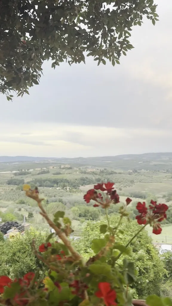 Ralf Sypesteyn_Ristorante Triocco_Barberino Val d'Elsa_review