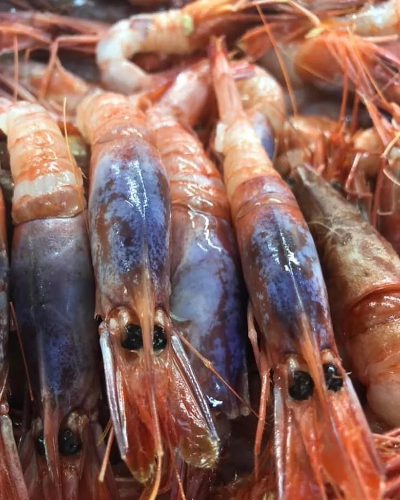 Menu_Gusto Secondo Me_Barberino Val d'Elsa_image_5