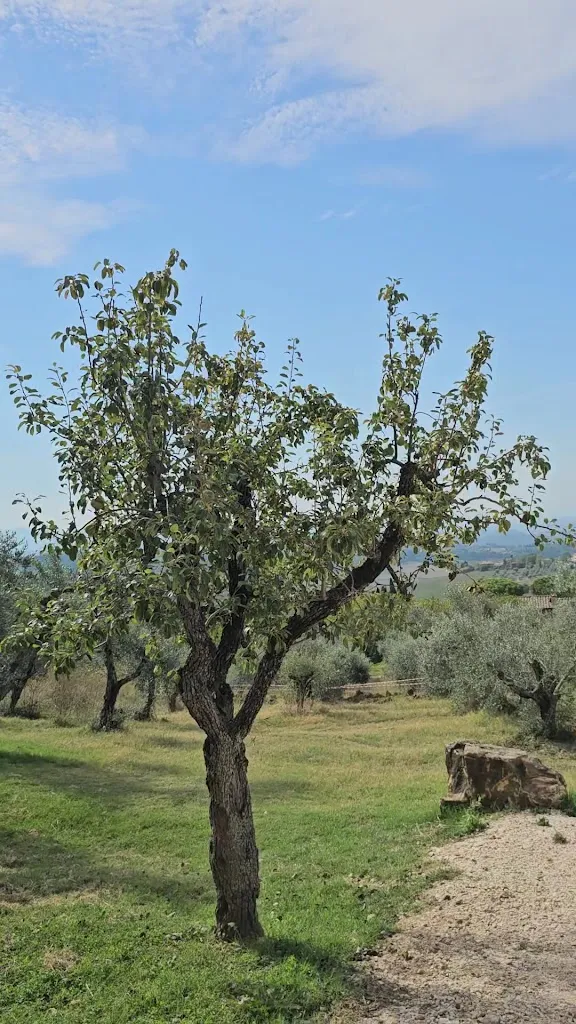 Osteria 1126_Barberino Val d'Elsa_slider_image_2