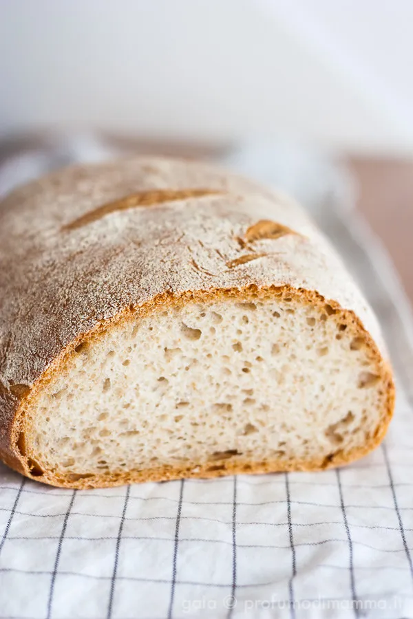 Menu_Bar Sport 21_Barberino Val d'Elsa_image_7