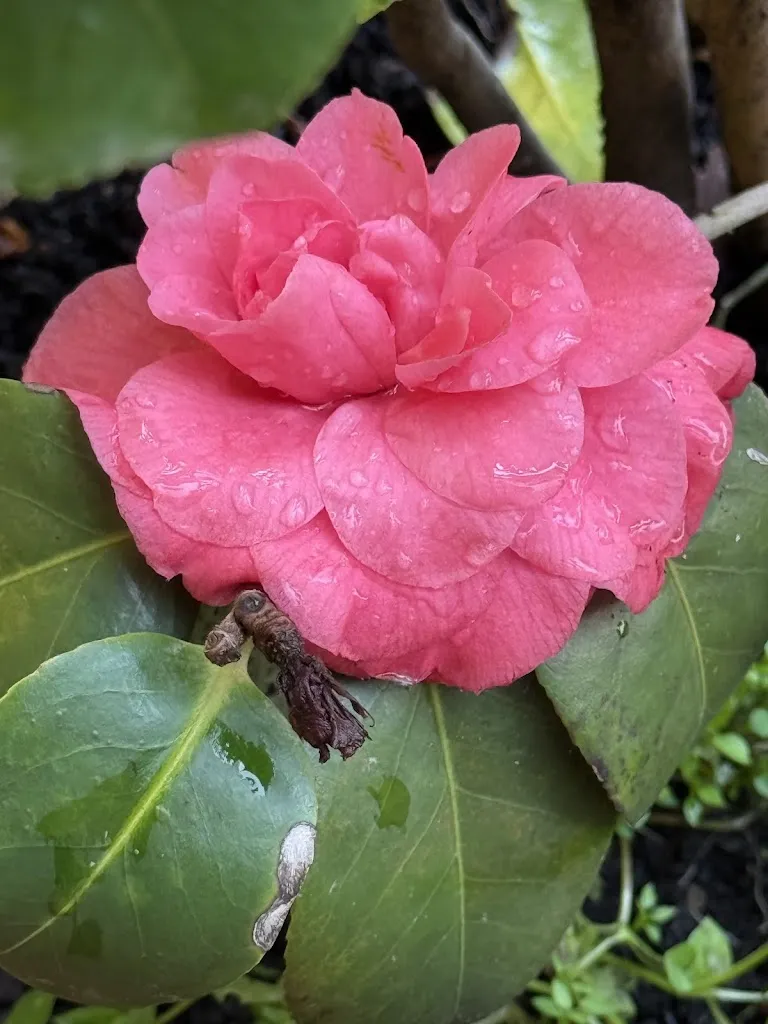 Nuriya Fehr_Agriturismo Poggio agli Ulivi_Barberino di Mugello_review