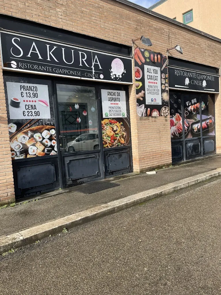 ALTIN Dylaku_Sakura_Bibbiena_review