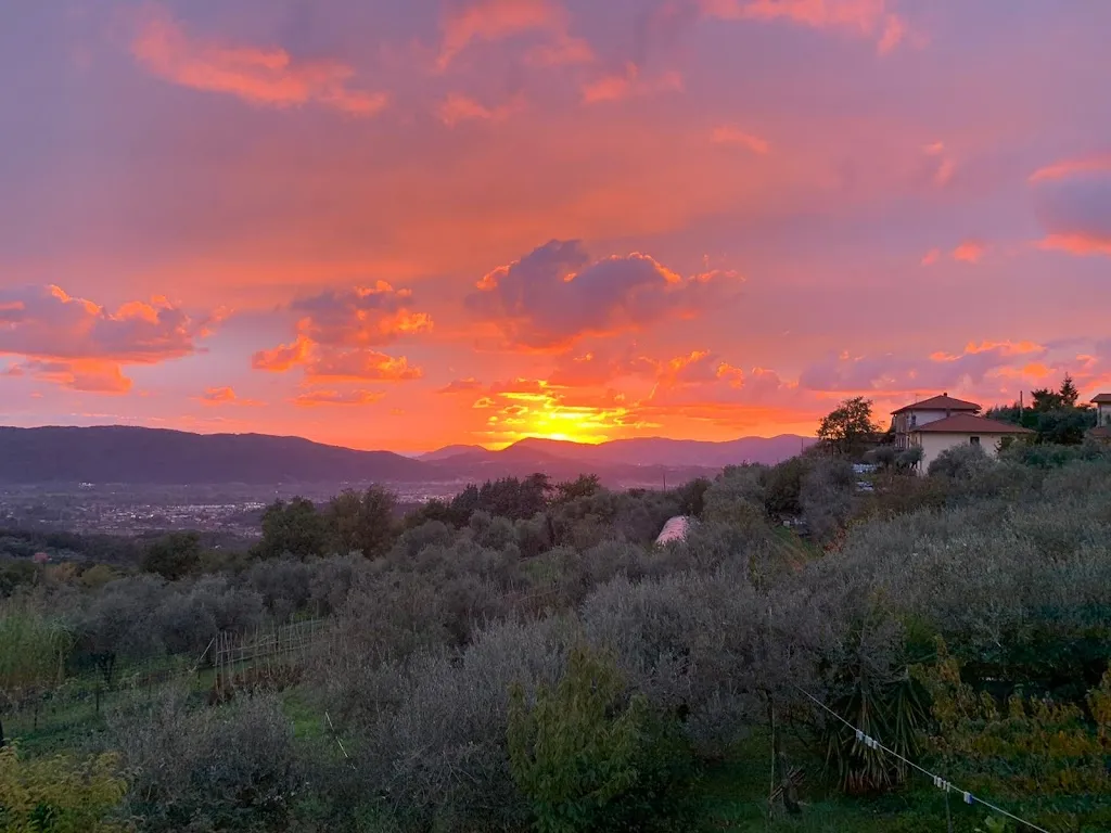 Agriturismo il Borghetto restaurant in Borghetto-Melara