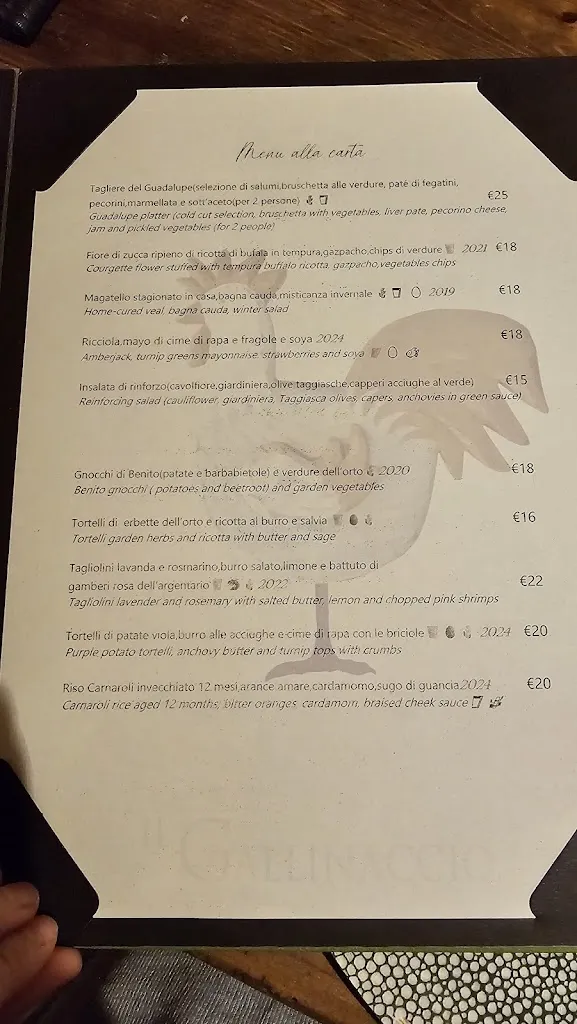 Menu_Il Gallinaccio ristorante_Braccagni_image_2