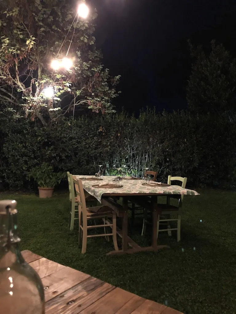 C Weber_Il germoglio_Braccagni_recensione