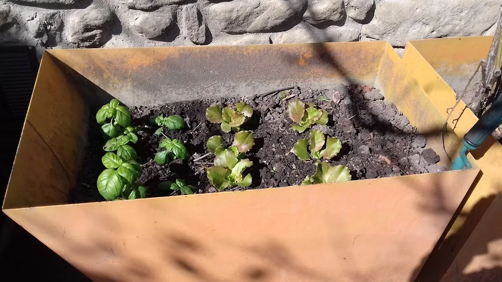 Menu_Pizzeria Bar Sophia Borgo San Lorenzo_Borgo San Lorenzo_image_6