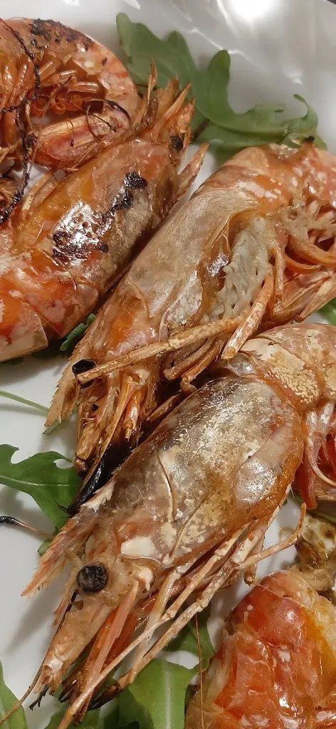 Menu_La Chimera_Calcinaia_image_8