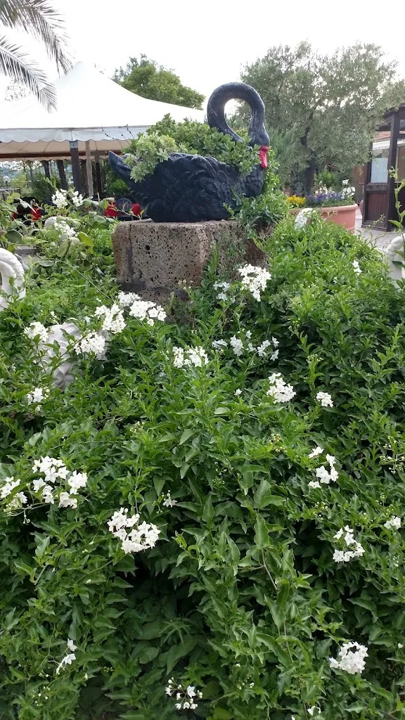 Paula S_Cigno Nero_Bientina_review