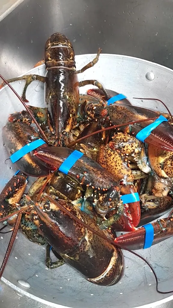 L'orto di mare_Bientina_slider_image_2