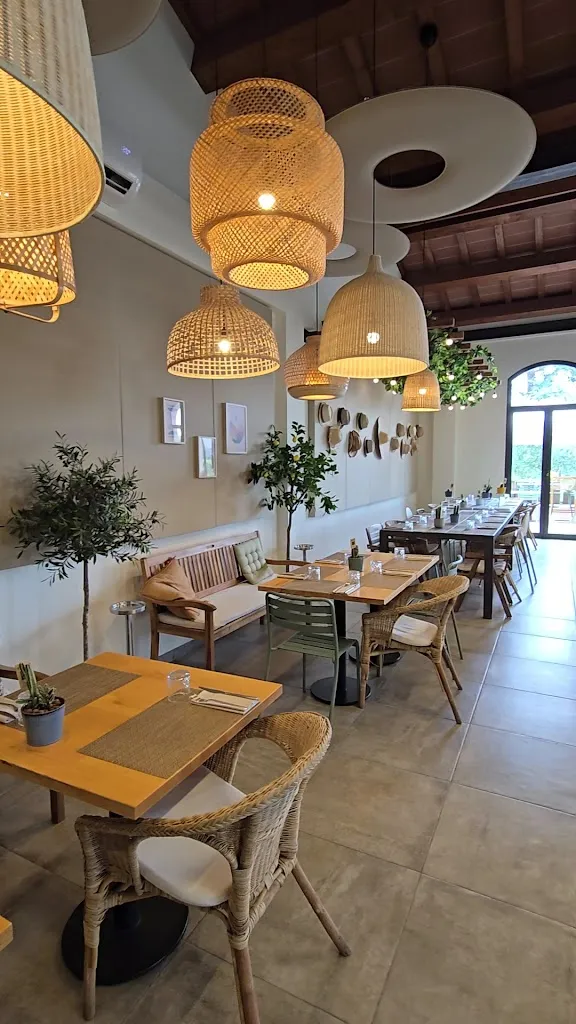 Ristorante Timo - Cucina Mediterranea_Bientina_slider_image_2