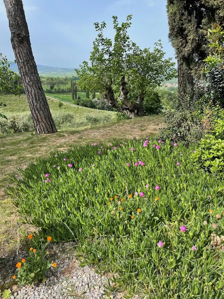Lily Mock_Agriturismo Pieve Sprenna_Buonconvento_review
