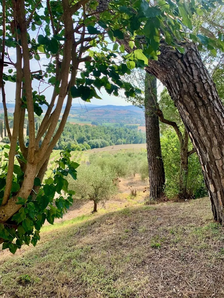 Saley Hurley_Agriturismo Pieve Sprenna_Buonconvento_review