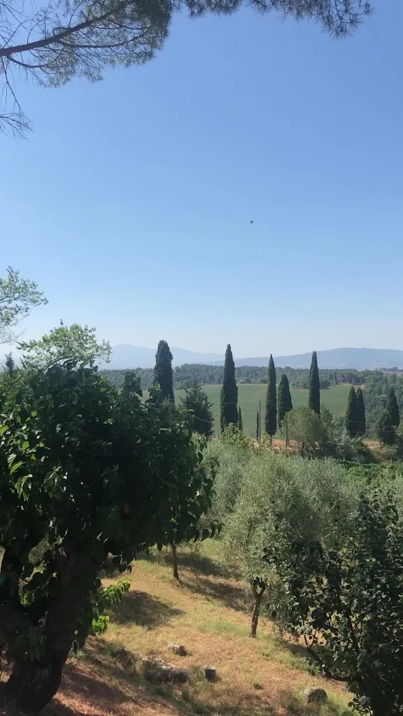 Agriturismo Pieve Sprenna_Buonconvento_slider_image_2