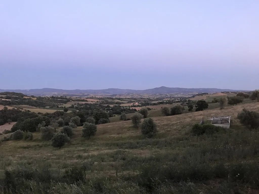 MZ A_Agriristoro La Casalinga_Campagnatico_review