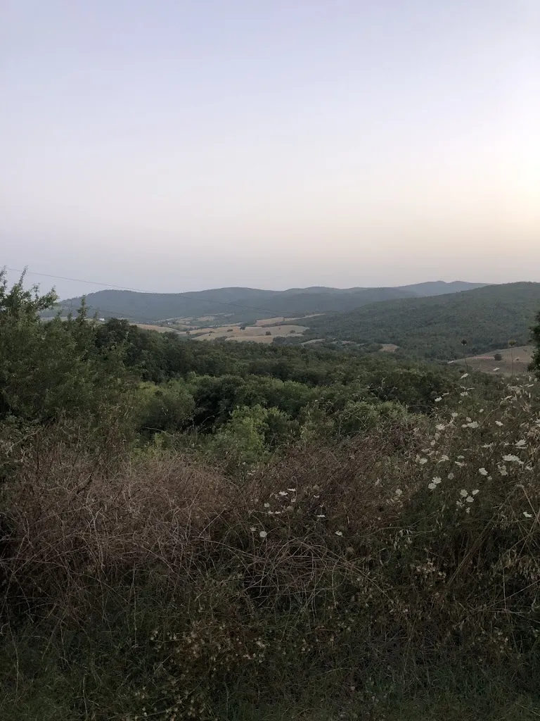 Zeina Chapman_Agriturismo Fonte di Braca_Campagnatico_review