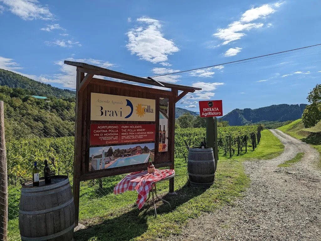 Patriek van Eijck_Cantina Bravi Alessandro Vino della Garfagnana_Camporgiano_review