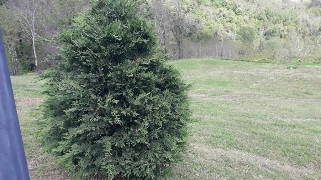 Cantina Bravi Alessandro Vino della Garfagnana_Camporgiano_slider_image_2