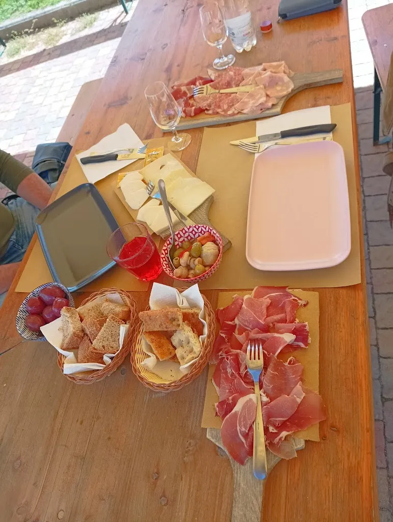 Grazia Campi_il viandante_Camporgiano_review