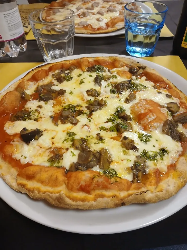 Nick FiorentinoDOC_Il Gozzoviglio_Campo Tizzoro_review