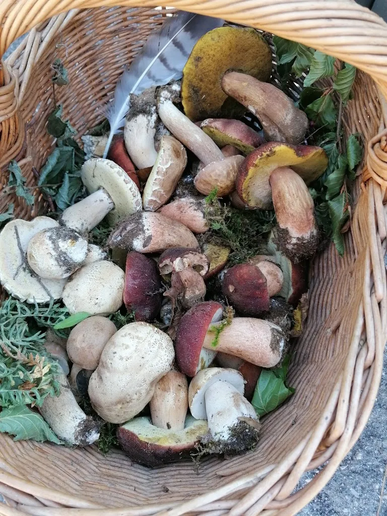 Menu_Antica Osteria Le Panche_Campo Tizzoro_image_9