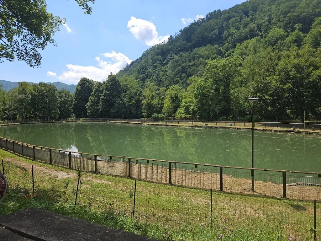 Maurizio Tinto_Ristorante Laghetto Del Ponte Sospeso_Campo Tizzoro_review