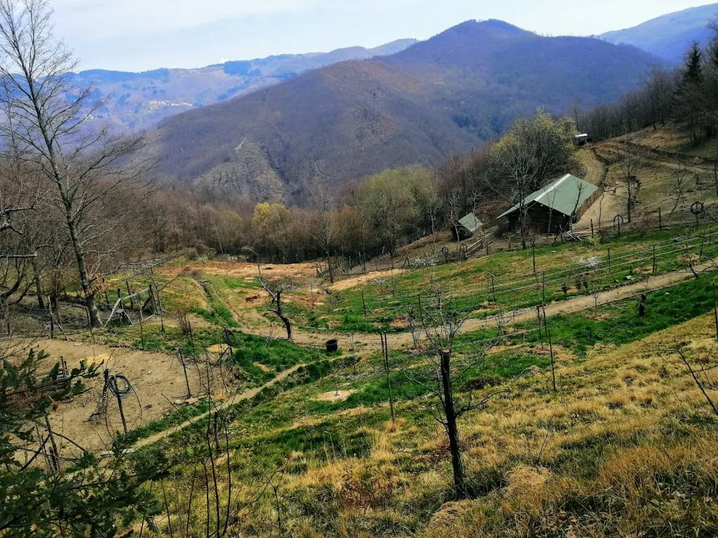 Le Granaie dei Pastori Agriturismo_Campo Tizzoro_slider_image_2