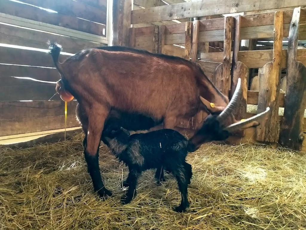 Le Granaie dei Pastori Agriturismo_Campo Tizzoro_slider_image_3