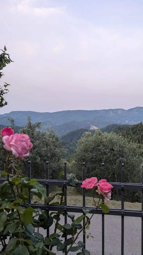 samuele persico_Il Ghirighio_Cantagallo_review