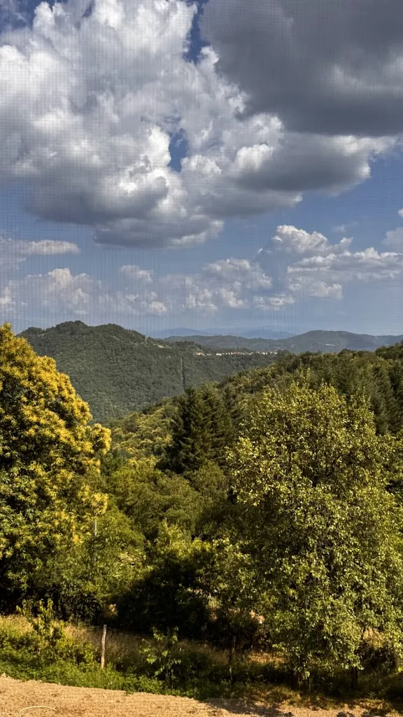 Fabio Niccolai_Fonte de' Piani Gavigno_Cantagallo_review