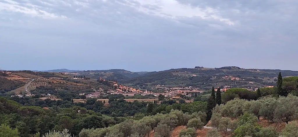 maamoon jabaly_Tenuta Cantagallo_Cantagallo_review