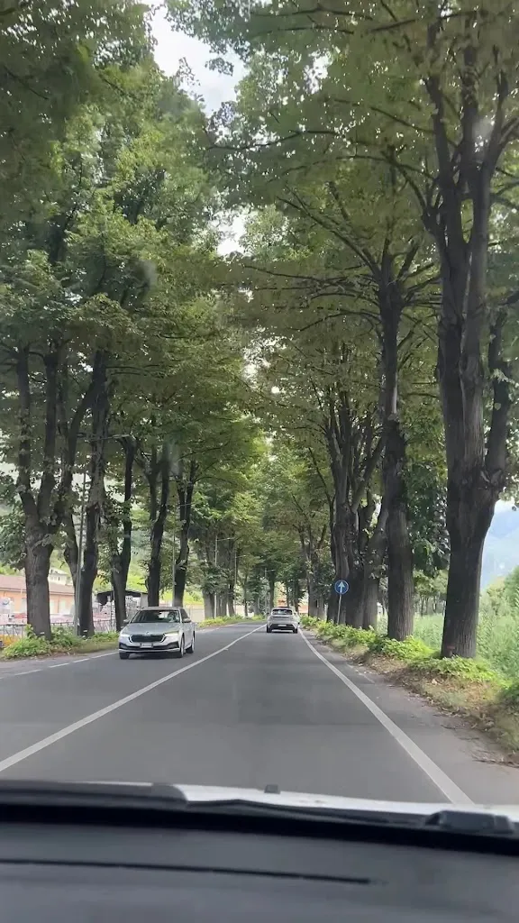 homa habibian_Osteria Candalla_Camaiore_review