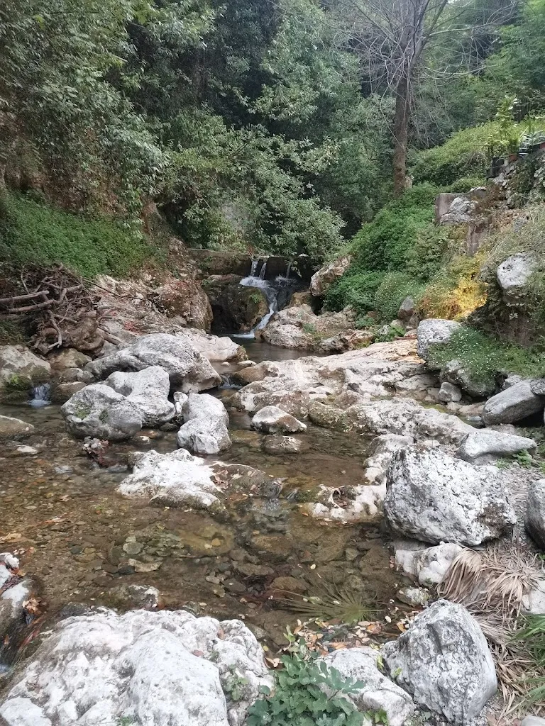 Francesco Bianchi _Osteria Candalla_Camaiore_review