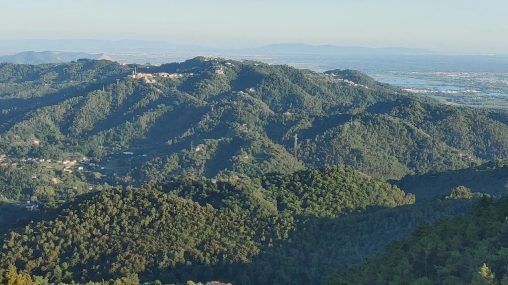 Trattoria Da Luciano_Camaiore_slider_image_2