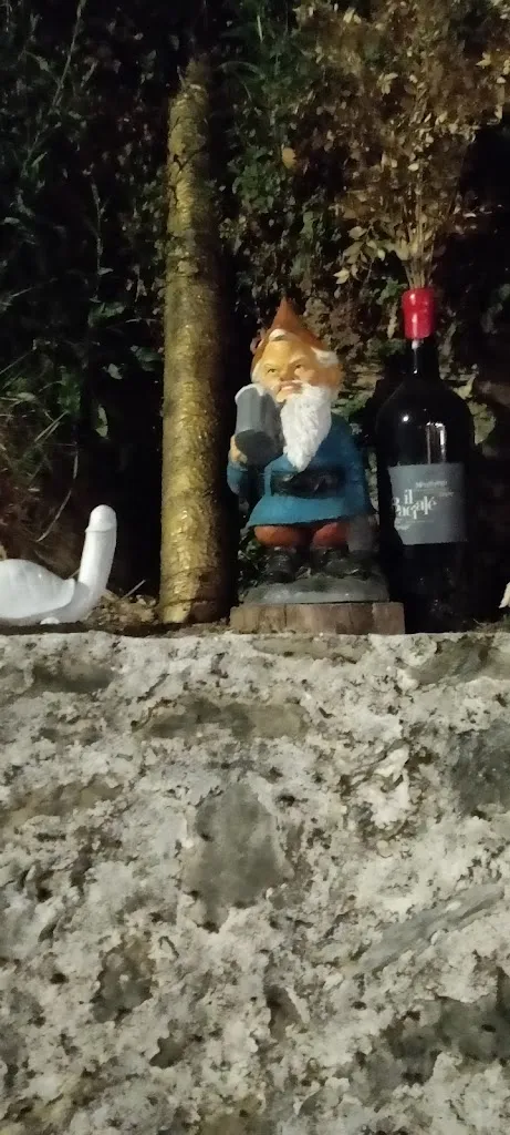 Erica A._Osteria Il Chiosco Nel Bosco_Camaiore_review