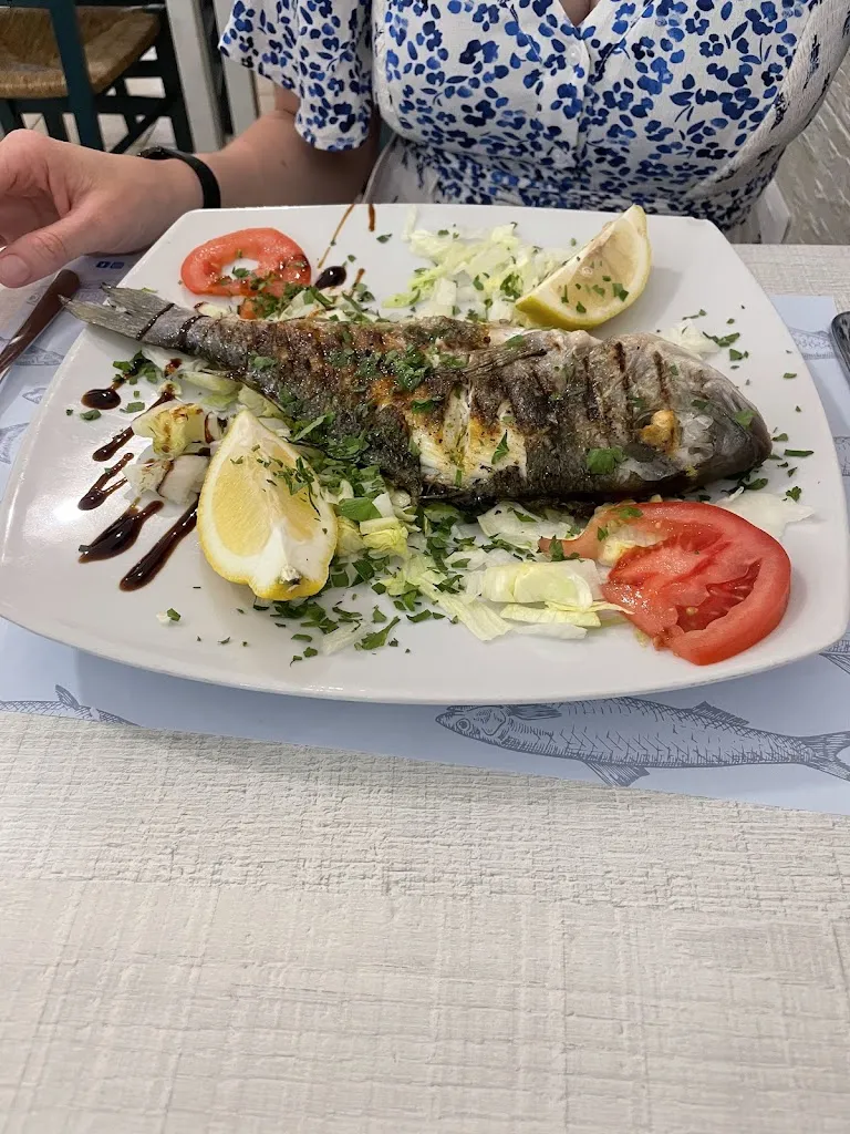 David C_Elbe'_Campo nell'Elba_review