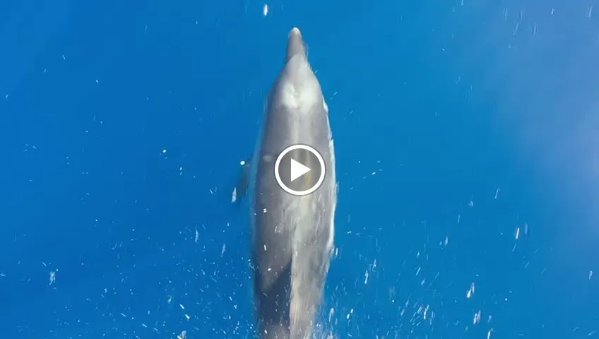 Elba Pesca turismo_Campo nell'Elba_slider_image_2