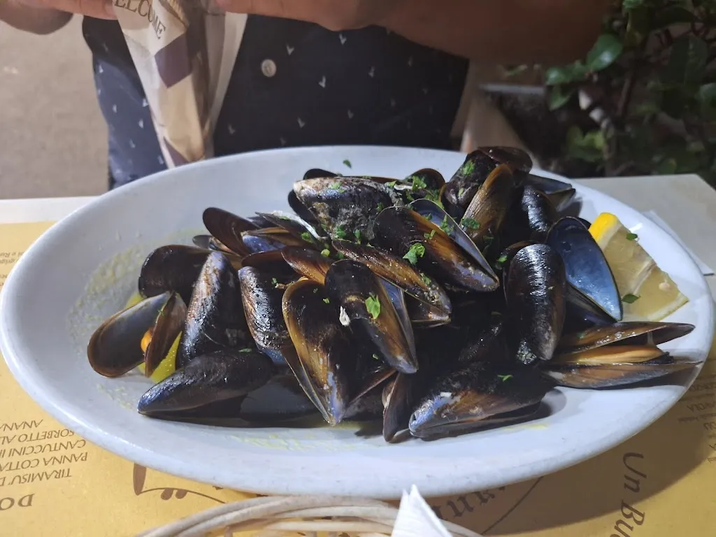 Konata_La Rustica_Campo nell'Elba_review