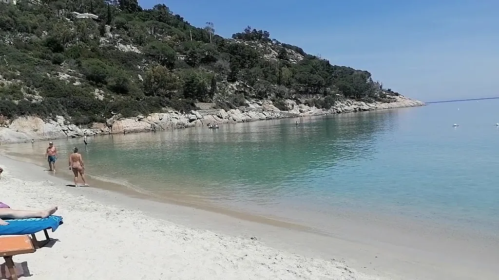 Pino Solitario_Campo nell'Elba_slider_image_2