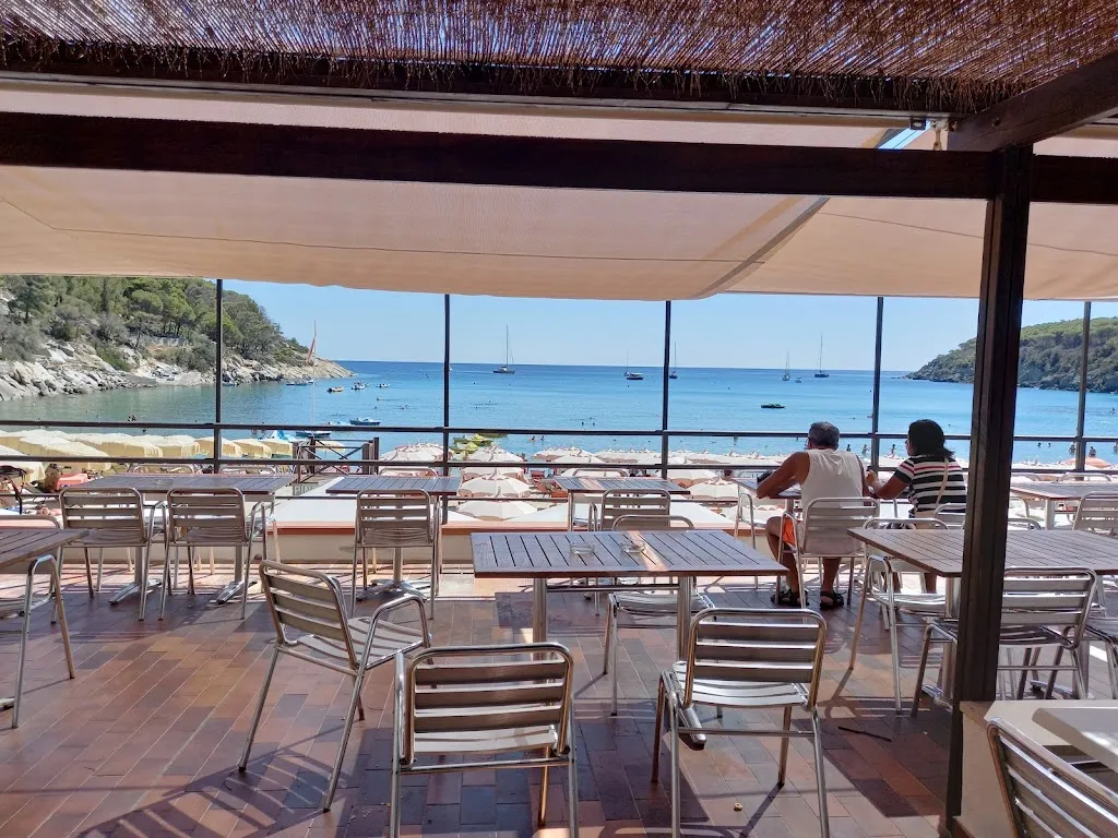 Pino Solitario_Campo nell'Elba_slider_image_3