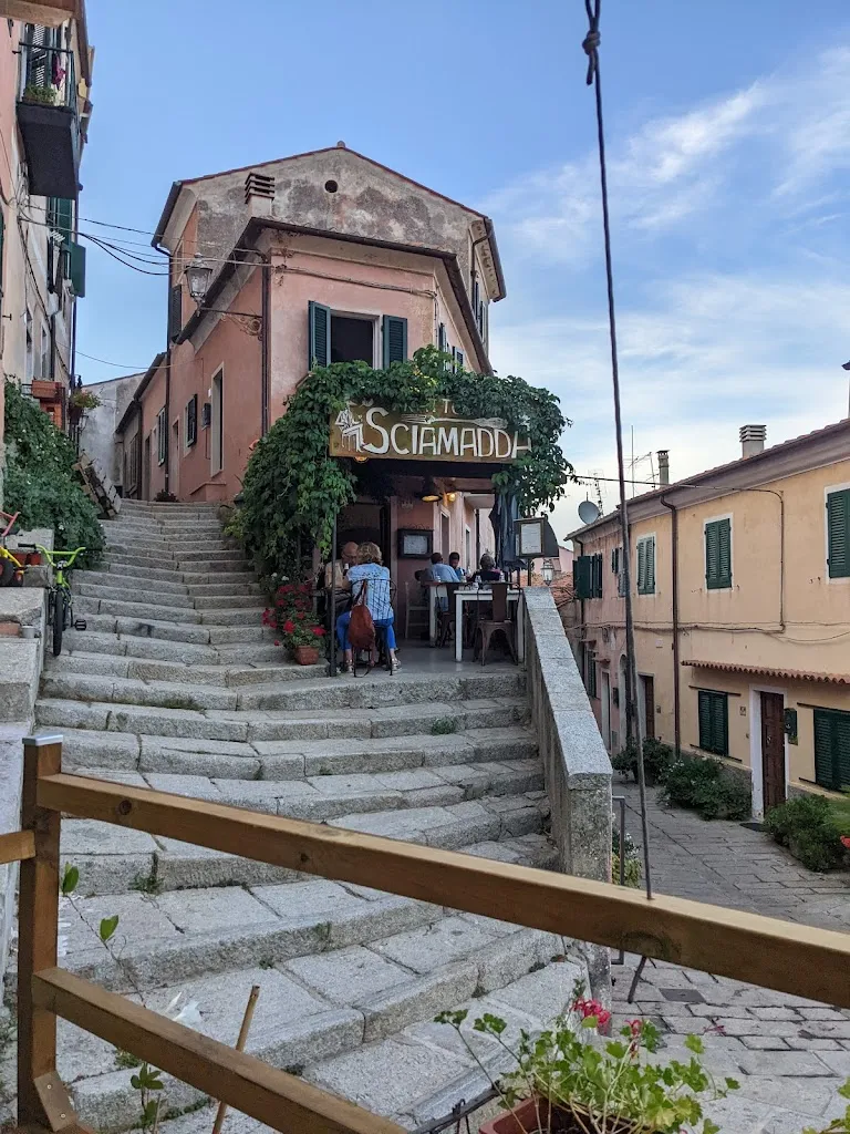 Mihai Mihailescu_Sciamadda_Campo nell'Elba_review