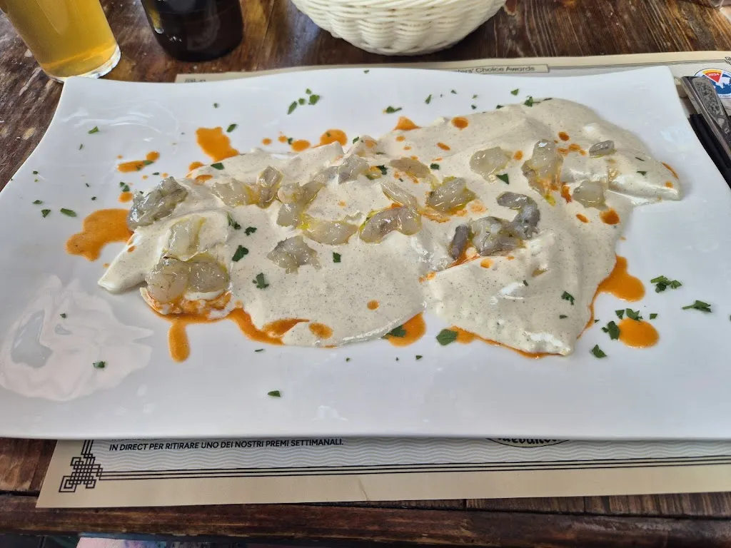 Dennis Wijnants_Blue Bandit_Campo nell'Elba_review