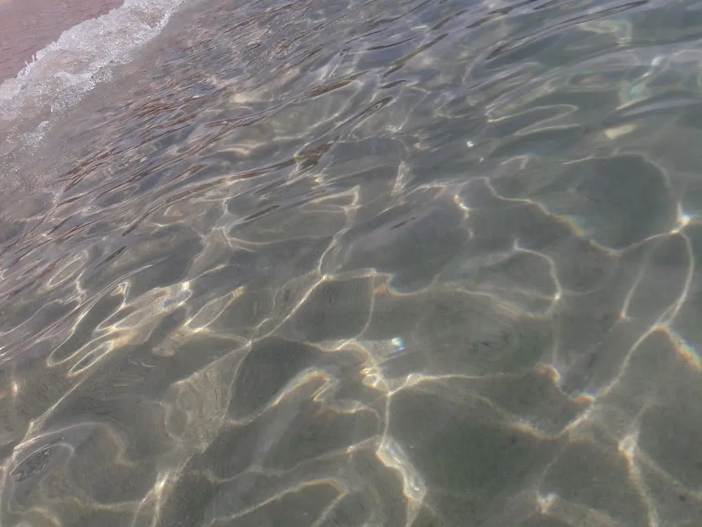 Silvia Sabbatini_Bagni Pineta_Campo nell'Elba_review