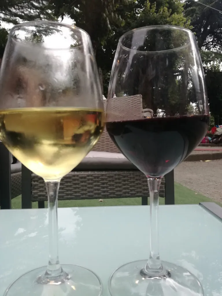 Menu_Cristallo Cafè_Camucia-Monsigliolo_image_9