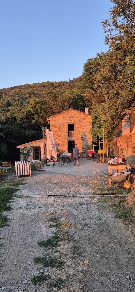 Marilena_fringuello bistrot_Camucia-Monsigliolo_review