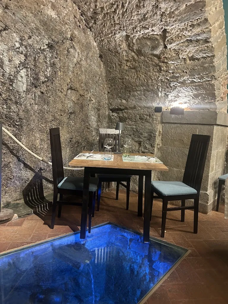 C R_Ambrosia_Camucia-Monsigliolo_review