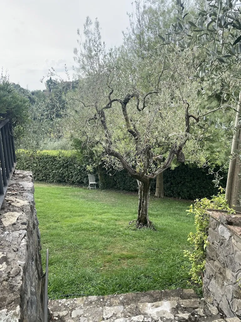 Sarah Rose Sandgren_VILLA ZELMA_Cantagrillo-Casalguidi_review