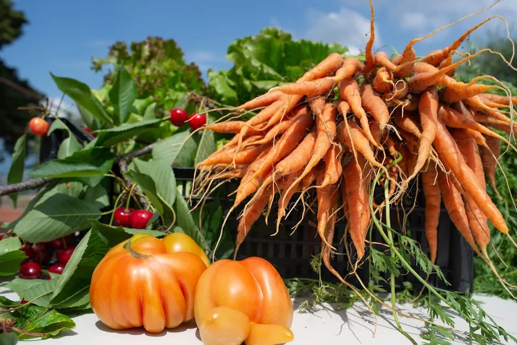 VILLA ZELMA_Cantagrillo-Casalguidi_slider_image_3