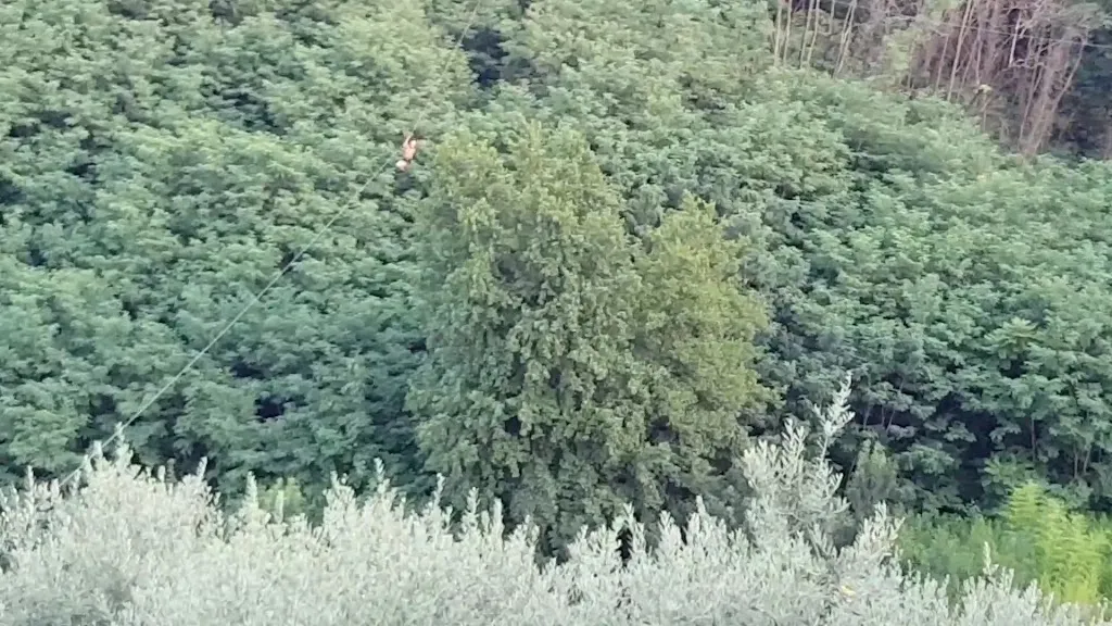 Agriturismo Podere Santa Rita_Cantagrillo-Casalguidi_slider_image_2